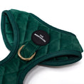Load image into Gallery viewer, Green Velvet - Harness