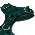 Load image into Gallery viewer, Green Velvet - Harness