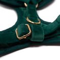 Load image into Gallery viewer, Green Velvet - Harness