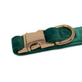 Load image into Gallery viewer, Green Velvet - Collar