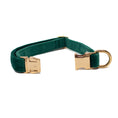Load image into Gallery viewer, Green Velvet - Collar