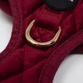 Load image into Gallery viewer, Red Velvet - Harness