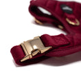 Load image into Gallery viewer, Red Velvet - Harness