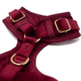 Load image into Gallery viewer, Red Velvet - Harness