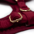 Load image into Gallery viewer, Red Velvet - Harness