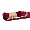 Load image into Gallery viewer, Red Velvet - Collar