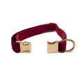 Load image into Gallery viewer, Red Velvet - Collar