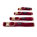 Load image into Gallery viewer, Red Velvet - Collar