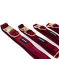 Load image into Gallery viewer, Red Velvet - Collar