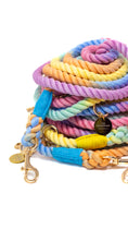 Load image into Gallery viewer, Pile of colourful braided dog leashes with gold hardware on a white background