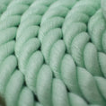 Load image into Gallery viewer, Close-up of light green braided rope leash