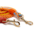 Load image into Gallery viewer, Multicoloured rope leash with gold hardware on a white background