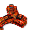 Load image into Gallery viewer, Wonky Harness – The Wonky Woofdrobe