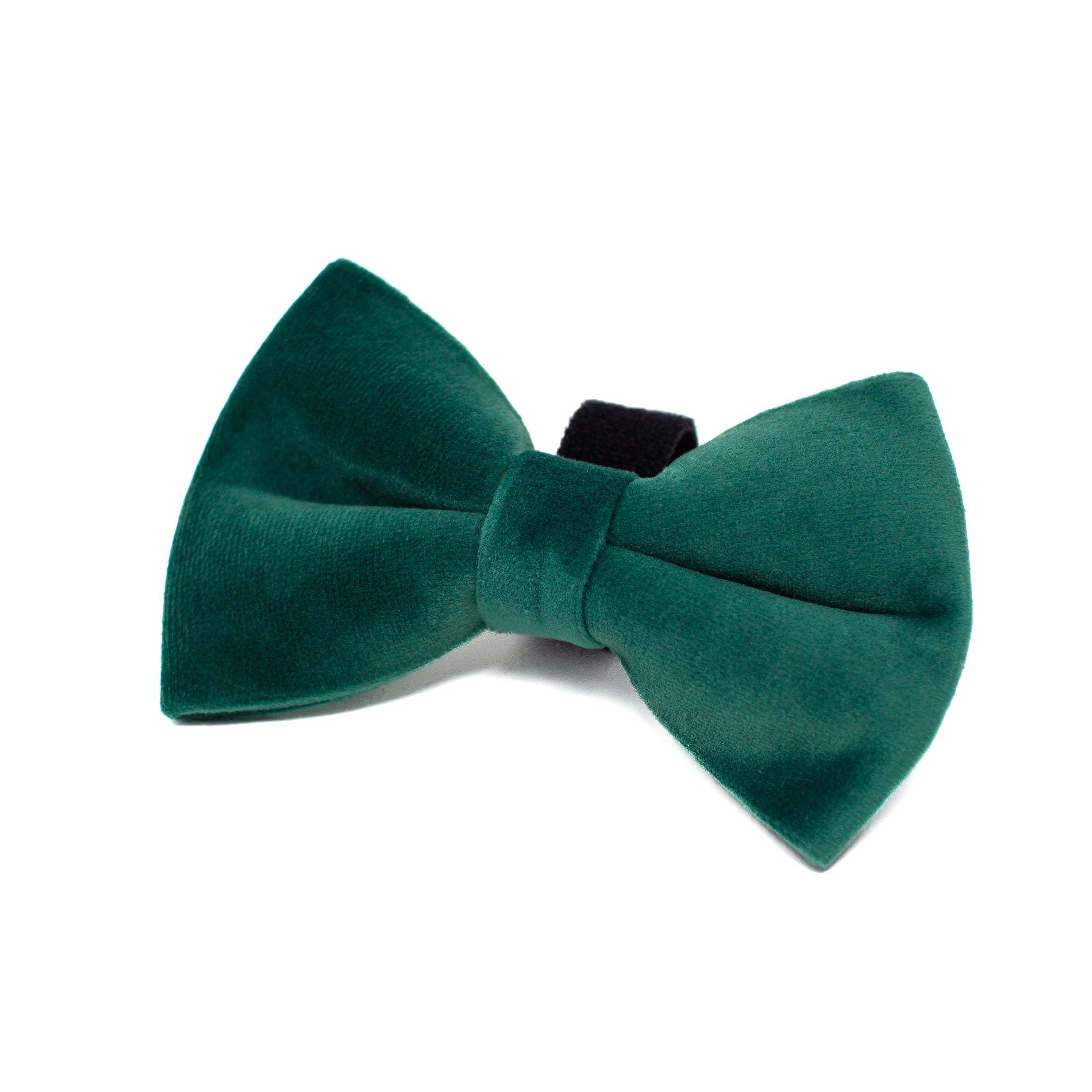 Green Velvet - Bow Tie