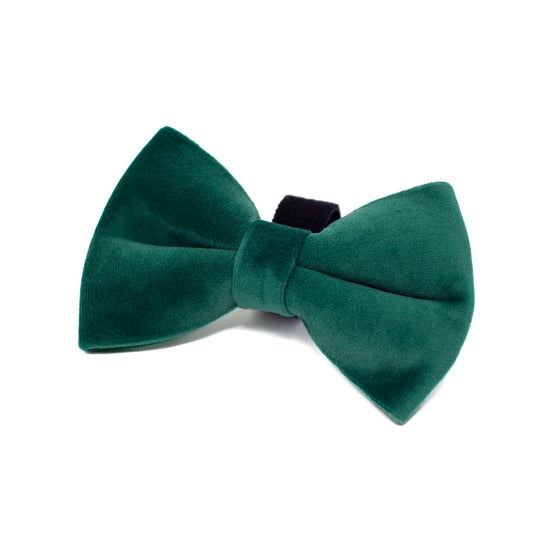 Green Velvet - Bow Tie