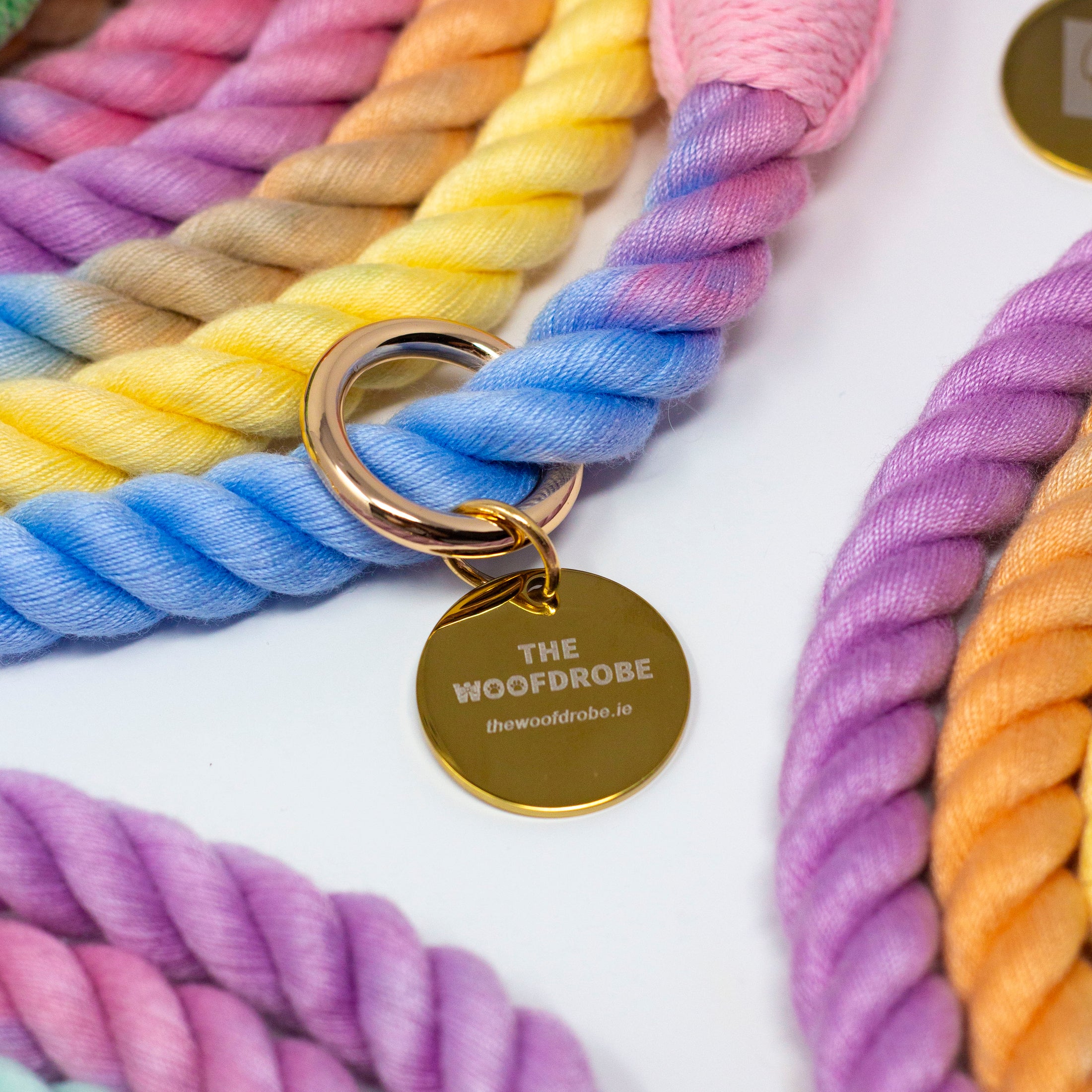 Colourful braided dog rope leash with a gold tag on a white background