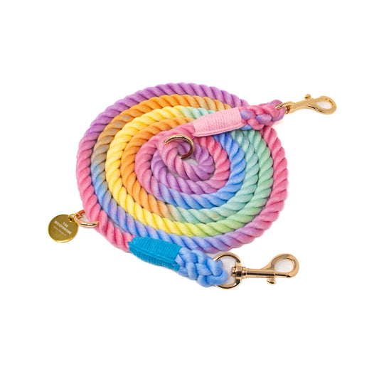 Colorful rope dog leash with gold hardware on a white background
