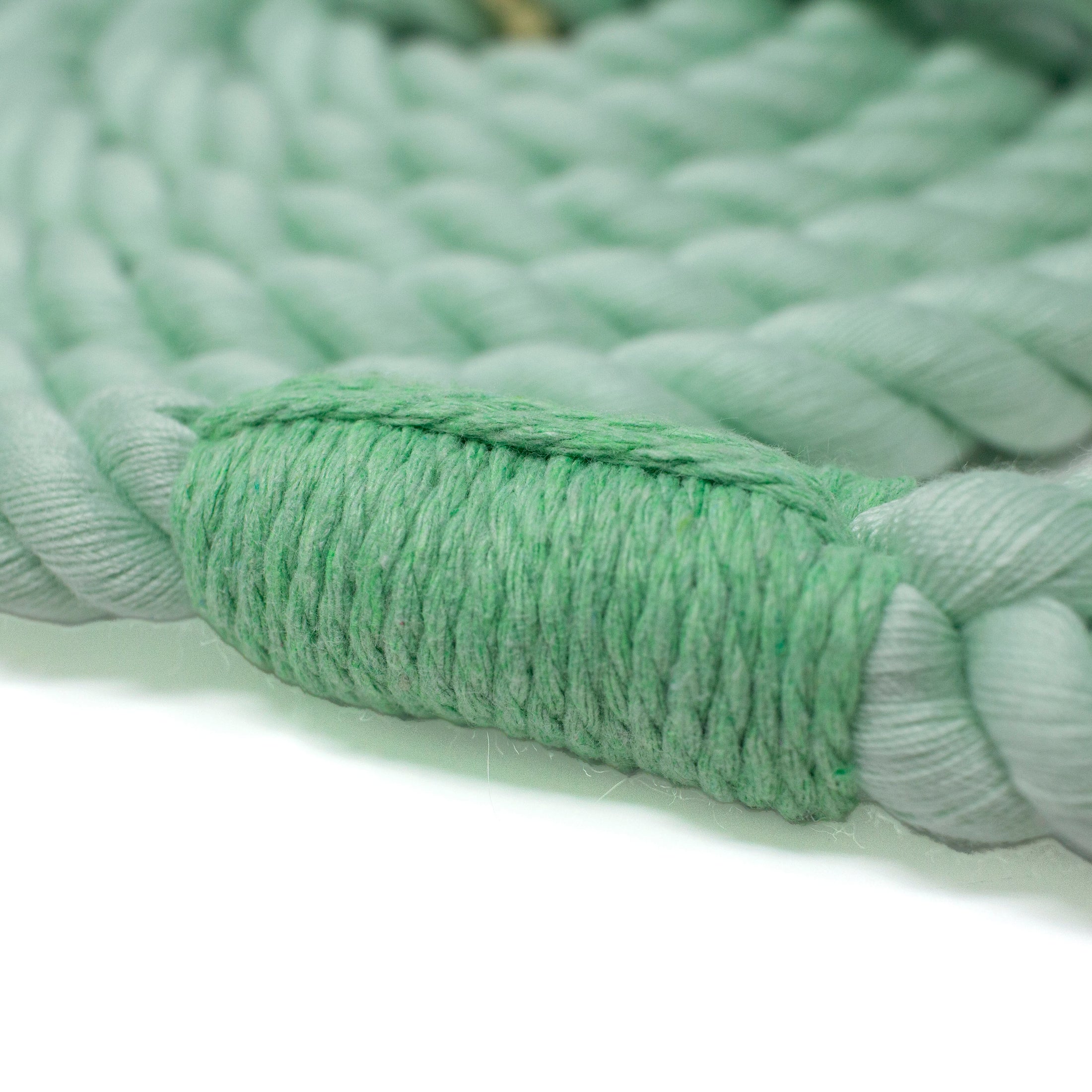 Close-up of a braided green rope leash on a white background