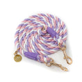 Load image into Gallery viewer, Multicolored braided leash with gold hardware on a white background
