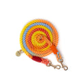 Load image into Gallery viewer, Multicoloured rope leash with gold hardware on a white background
