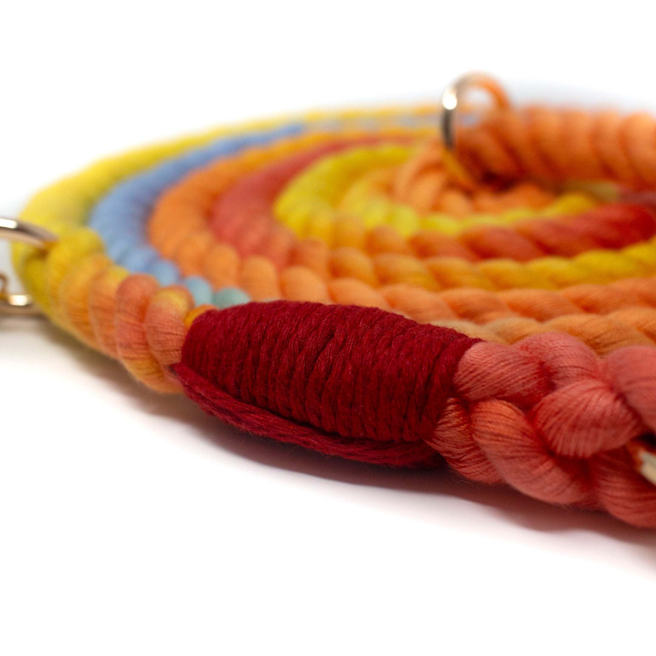 Close-up of colorful braided rope leash on a white background