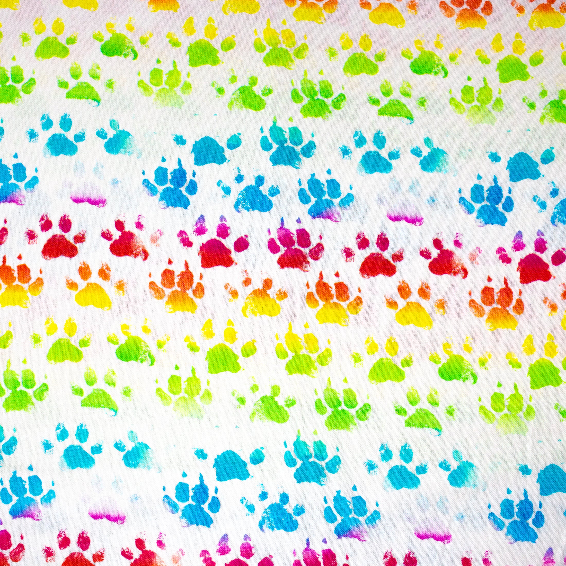 Paws in Love